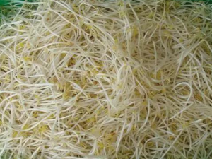 ���ʽ��ݹ��Ķ�ѿ������Щ�ص� ��μ�����