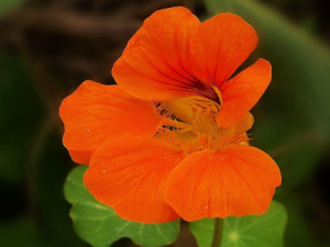 ����������Щ���� ��������ʹ�÷���