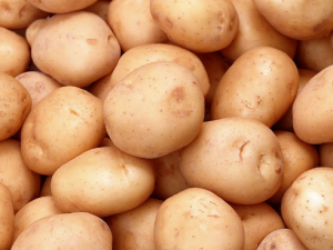 ��Щ�˲��˳Ծ÷ŵ�����