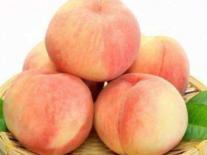 ������ô���� �����ܷű��䱣����