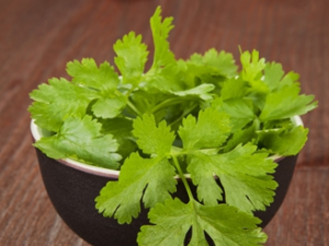 ��ð���˲��ʺϳ���� ��֪��ԭ����