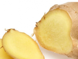 ��������ҩ����ʲô���� ��֪����