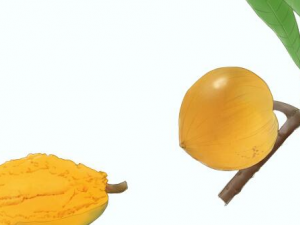 ���ƹ�����Щ��Ч ���ƹ���ʳ�ý���