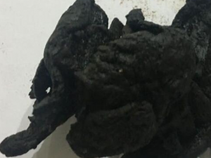 ��Щ��ҩ�ܲ�Ѫ ��ҩ��Ѫ������