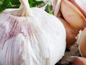 7�����Ƹ�ð��ʳ���Ƽ� ������ð����ʳ����