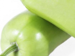 ���������ų�ʪ����ʳ������Щ