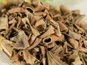 ʯ�����Ĺ�Ч������ ����Ԥ����֢