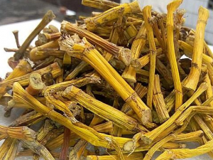 ɽƲݵĹЧ ԤѪ֬͸Ѫ