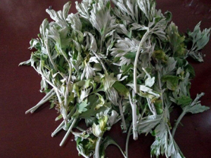 ������Ѭ�Ĺ�Ч������ ��������