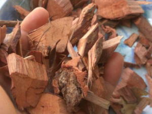 �ҽ�����Ĺ�Ч������ Ԥ����Ѫ֬