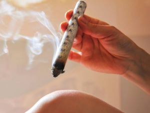 ���Ŀ��������������