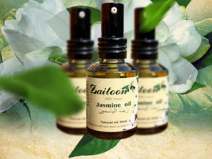 �沿����Ҫ��ʲô���� ��Щ�˲��˹���