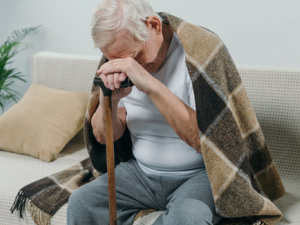 �������ܵ����� �����ߵ���ʳ����