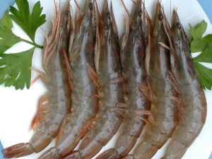 Ϻͷ�����İ�����ʲô ���˻���Σ����