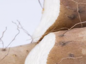 �Ⱦ����˸� �������ܱ���������