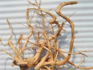 �ƶž���Ĺ�Ч������ ���Ի�Ѫ����