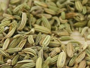 �����ѵĹ�Ч������ ���Ա�������