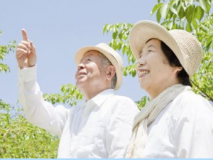 Ƥ��������ô�������� Ƥ�����Ƶ�ԭ��