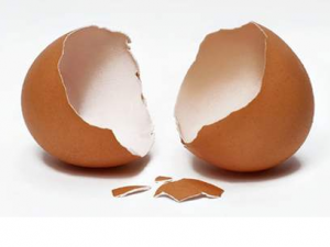 ����������Щ��Ч ������������������