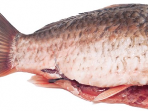 ���ش������ζӪ��������