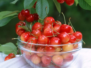 ӣ��ʲô���ĺ��� �����ѡӣ��