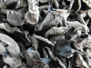 ��ҩ�ж���ô�� ��ҩ�ж���δ���