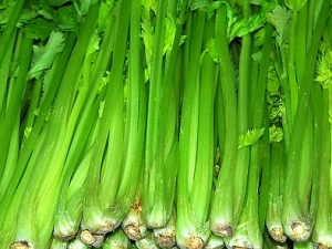 �������Щ��Ч 4���˲��˶�Դ��