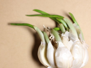 ���ⷢѿ����Ӫ�� ��Щ������ѿ���ܳ���