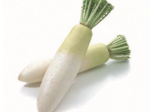 �ܲ��������ܳ��� �ܲ������뻹��Ӫ����