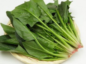 ����Ӧ��ôѡ�� ���˵�Ӫ����ֵ