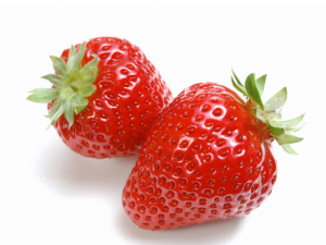 ��������α������� ���������ʳ����