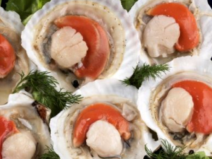 Ϊʲô������ơ�ƻᵼ��ʹ��