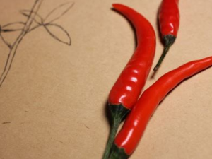 ��Щ���ǲ��ܳ������� ������ʳ�ý���