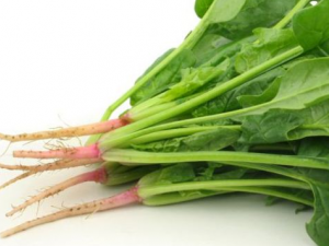 ���Ĳ˿��������� ���Ĳ˵�����