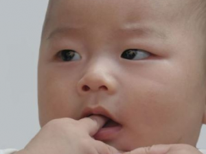 ���ݴ�����Щ���� ���ݴпɻ������