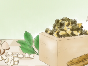 ��������Ĺ�Ч���� ���������ҩ�ü�ֵ