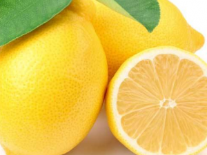 �п��������ܱ����� �п�������Ҫ����ʳ����