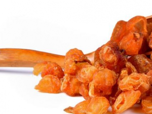 �纮������ô�� �纮���Ե�����ƫ��