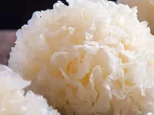 ����ʲô���ĺ��� �����ѡ����