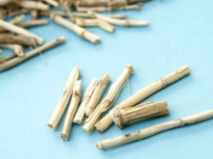 ��é������Щ���� ��é���Ĺ�Ч