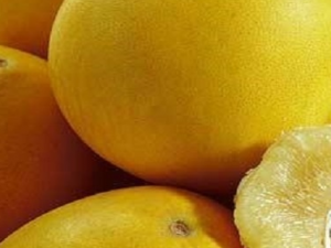 �������Ӳ�Ĺ�Ч �������Ӳ������