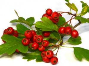 ��ɫ�԰׷�ɫ����ε���