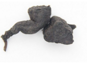 ������������Щ���� ��������Ҫע��ʲô