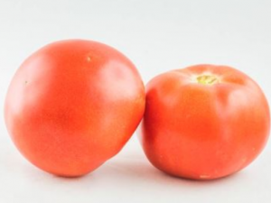 ɫ���ȵ�������������