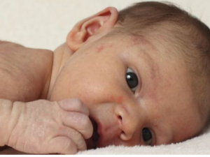 ���������ǲ��� Ӧ�����������