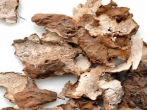 ������Ĺ�Ч������ ����Ԥ����֢