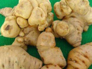 ���ػƵĹ�Ч������ ���Է�������