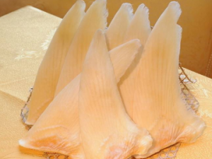 ��᲻�ʺ���Щ��ʳ��