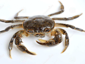 ���˵��з��ò�Ҫ�� �����ж�