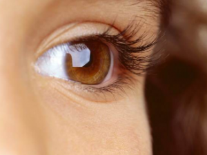 ��α�֤�۾��Ľ���